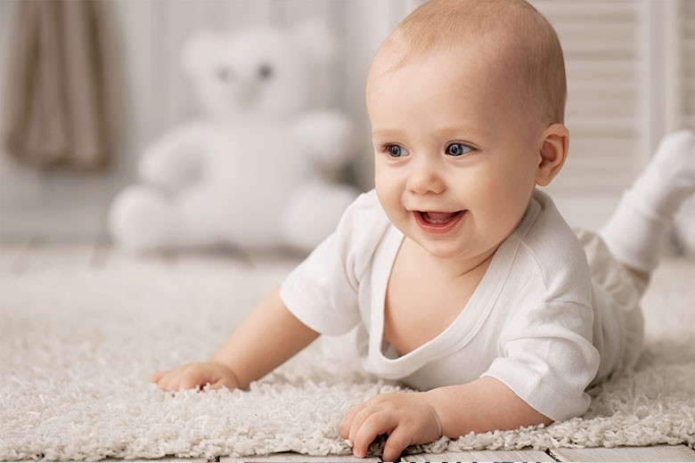 bebe